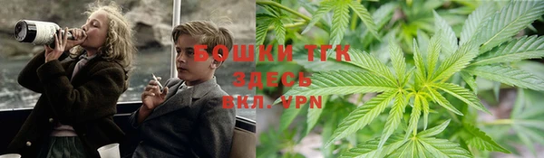кокс Арсеньев