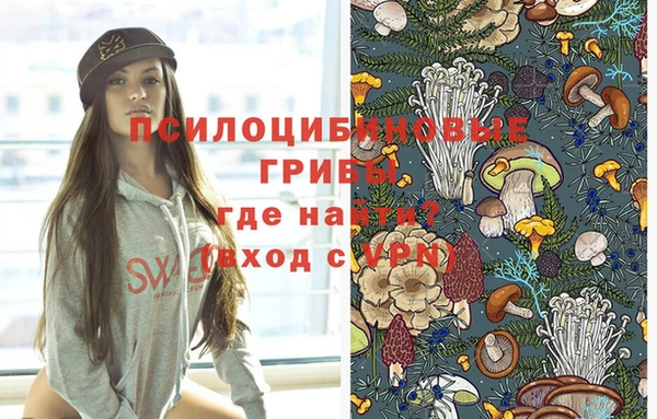 кокс Арсеньев