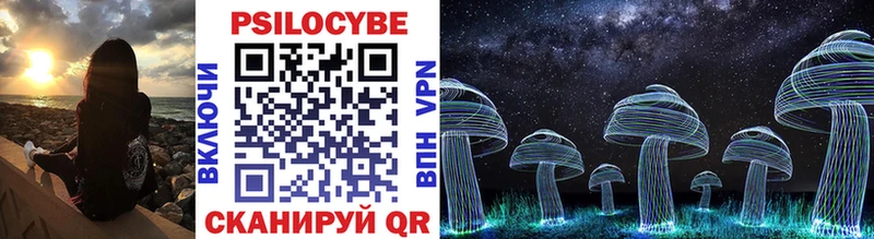 где купить   Островной  Псилоцибиновые грибы Psilocybine cubensis 